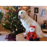 Weihnachten 2016 053.jpg
